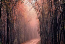 装祯的拼音是什么意思啊怎么读,装帧拼音怎么读