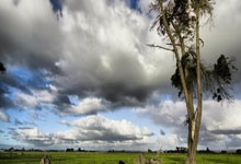 装祯的拼音是什么写出来的呢,装祯的拼音是什么写出来的呢怎么读