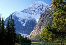 特种纸打印效果图图片高清版,特种纸打印效果图图片高清版下载