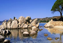 特种纸打印效果图图片高清版,特种纸打印效果图图片高清版下载